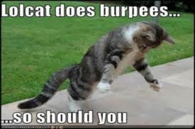 lolcat burpee