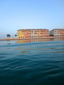 11428210_549708385167273_9183081560522902702_o