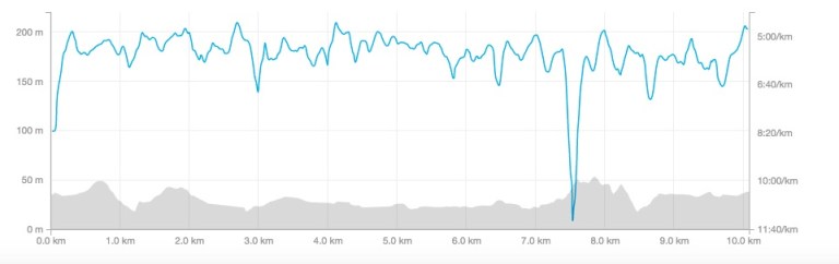 Westerfolds Pace:Elevation